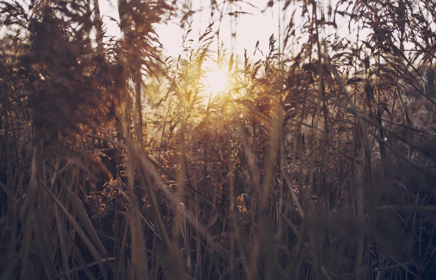 Hospital digital system and healthcare analytics interface